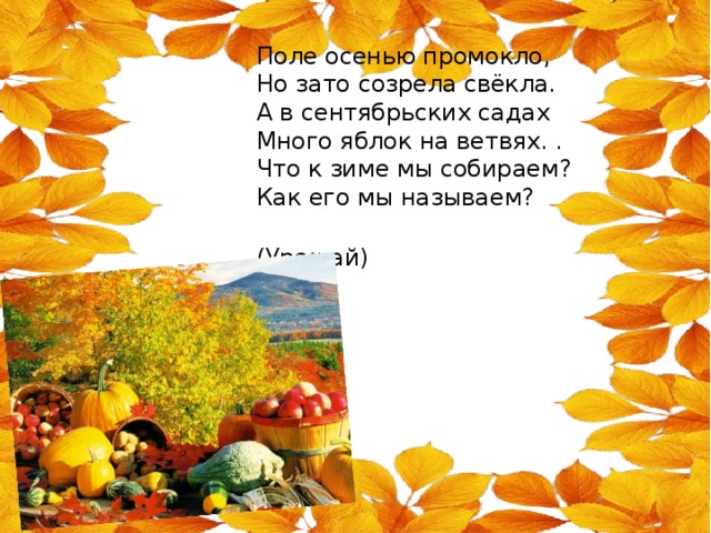 Поле осенью промокло,  Но зато созрела свёкла.  А в сентябрьских садах  Много яблок на ветвях. .  Что к зиме мы собираем?  Как его мы называем?  (Урожай)