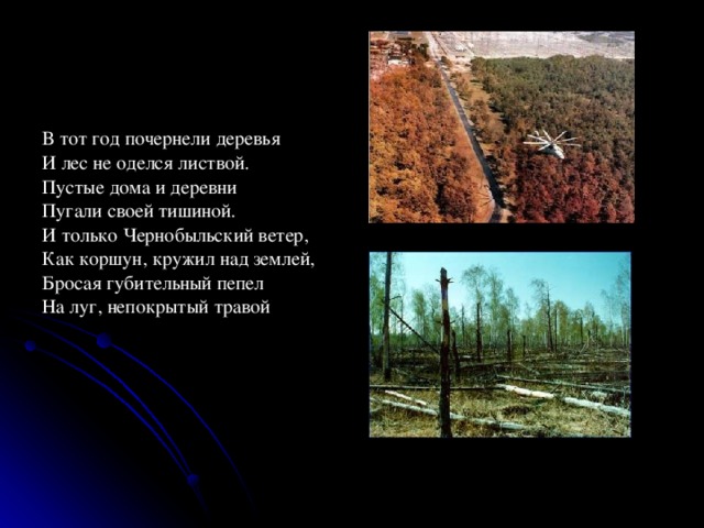 В тот год почернели деревья И лес не оделся листвой. Пустые дома и деревни Пугали своей тишиной. И только Чернобыльский ветер, Как коршун, кружил над землей, Бросая губительный пепел На луг, непокрытый травой