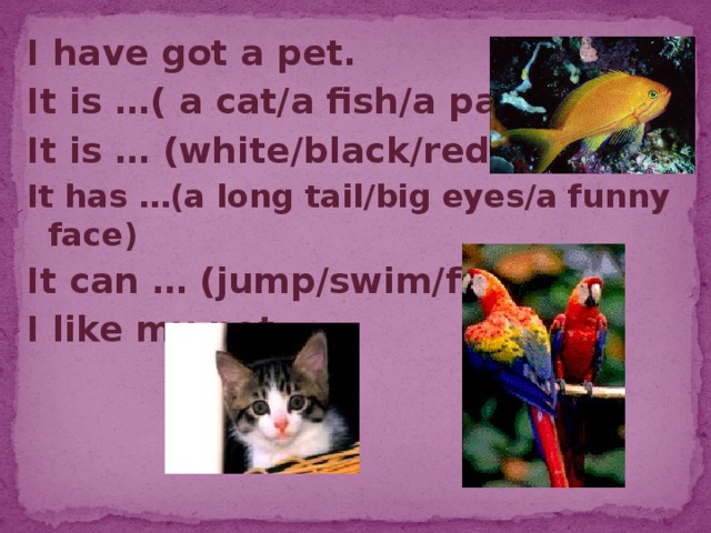 I have got a pet. It is …( a cat/a fish/a parrot) It is … (white/black/red) It has …(a long tail/big eyes/a funny face) It can … (jump/swim/fly) I like my pet.