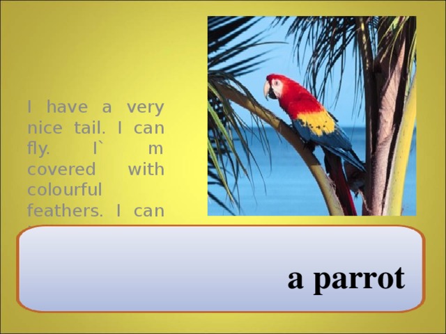 I have a very nice tail. I can fly. I` m covered with colourful feathers. I can talk. I am very funny. I am a … a parrot