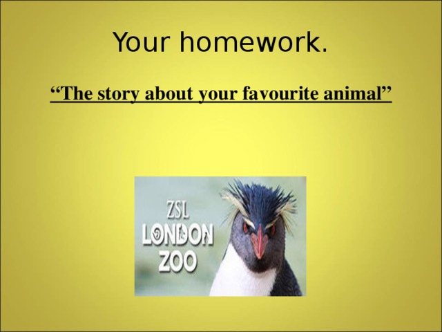 Your homework. “ The story about your favourite animal”