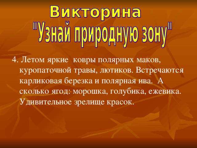 4. Летом яркие  ковры полярных маков, куропаточной травы, лютиков. Встречаются карликовая березка и полярная ива. А сколько ягод: морошка, голубика, ежевика. Удивительное зрелище красок.