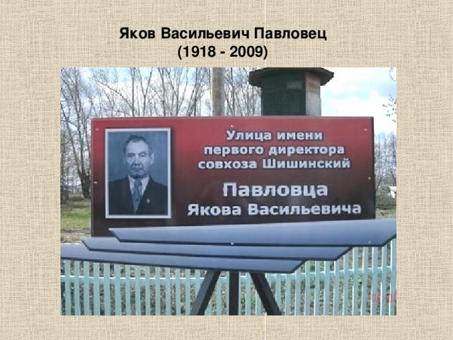 Яков Васильевич Павловец (1918 - 2009)