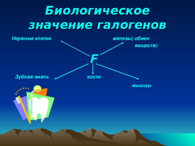 Биологическое значение галогенов Нервные клетки железы( обмен  веществ)   F  F  F  F  Зубная эмаль кости  мышцы