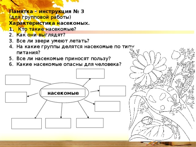 Памятка – инструкция № 3 (для групповой работы) Характеристика насекомых.   Кто такие насекомые? Как они выглядят? Все ли звери умеют летать? На какие группы делятся насекомые по типу питания? Все ли насекомые приносят пользу? Какие насекомые опасны для человека? насекомые