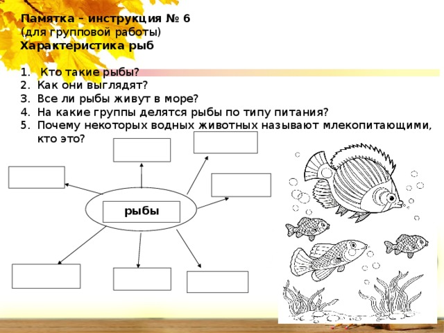 Памятка – инструкция № 6 (для групповой работы) Характеристика рыб     Кто такие рыбы? Как они выглядят? Все ли рыбы живут в море? На какие группы делятся рыбы по типу питания? Почему некоторых водных животных называют млекопитающими, кто это? рыбы