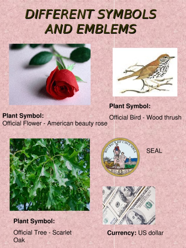 DIFFERENT SYMBOLS AND EMBLEMS Plant Symbol: Official Bird - Wood thrush Plant Symbol:  Official Flower - American beauty rose SEAL Plant Symbol: Official Tree - Scarlet Oak Currency : US dollar