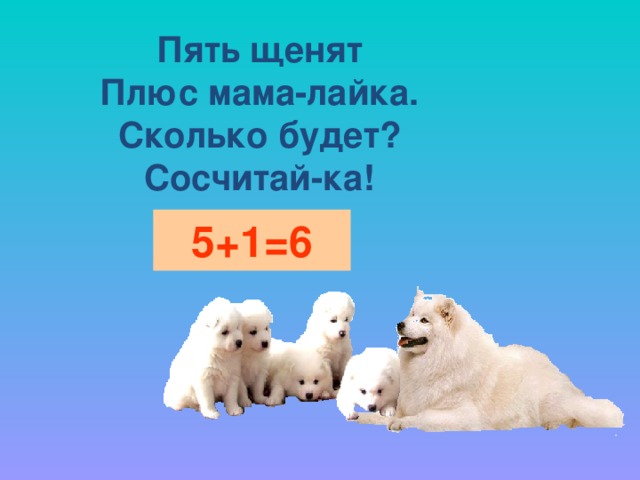 Пять щенят  Плюс мама-лайка.  Сколько будет?  Сосчитай-ка! 5+1=6