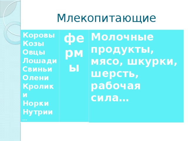 Млекопитающие Коровы Козы фермы Овцы Молочные продукты, мясо, шкурки, шерсть, рабочая сила… Лошади Свиньи Олени Кролики Норки Нутрии …