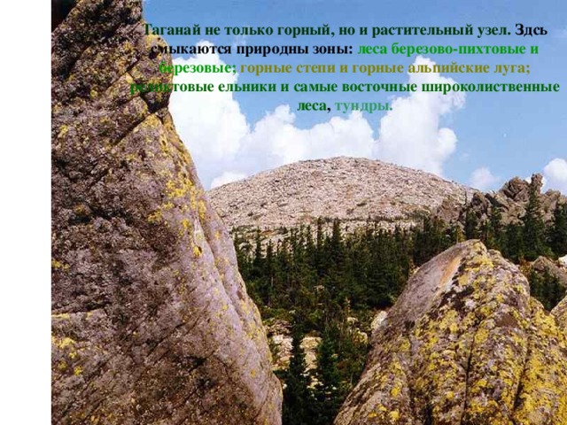 Таганай не только горный, но и растительный узел. Здсь смыкаются природны зоны: леса березово-пихтовые и березовые;  горные степи и горные альпийские луга;  реликтовые ельники и самые восточные широколиственные леса , тундры.