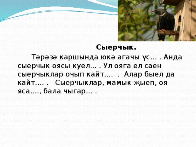 Сыерчык перевод. Сыерчык. Сыерчык на русском. Рассказ сыерчык. Изложение сыерчык.