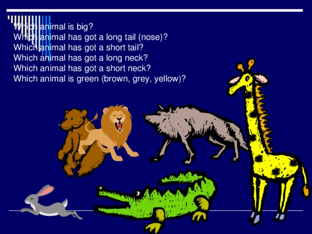 Which animal is big?  Which animal has got a long tail (nose)?  Which animal has got a short tail?  Which animal has got a long neck?  Which animal has got a short neck?  Which animal is green (brown, grey, yellow)?