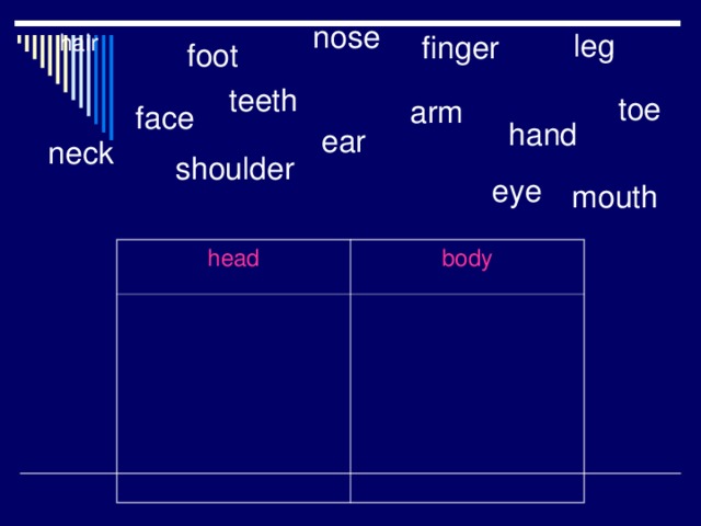 nose leg finger hair foot teeth toe arm face hand ear neck shoulder eye mouth head body