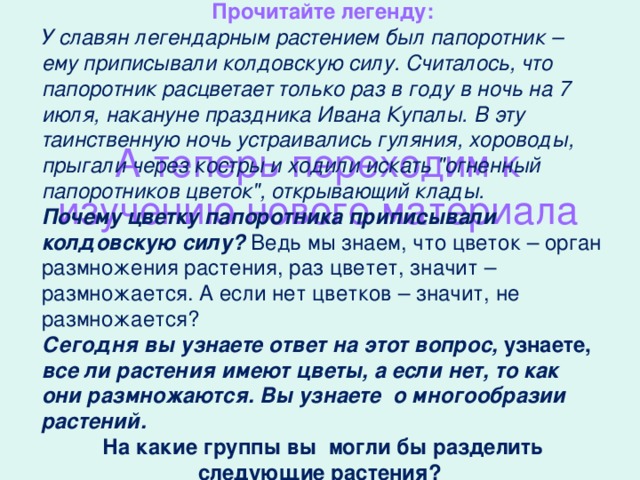 Прочитайте легенду: У славян легендарным растением был папоротник – ему приписывали колдовскую силу. Считалось, что папоротник расцветает только раз в году в ночь на 7 июля, накануне праздника Ивана Купалы. В эту таинственную ночь устраивались гуляния, хороводы, прыгали через костры и ходили искать 