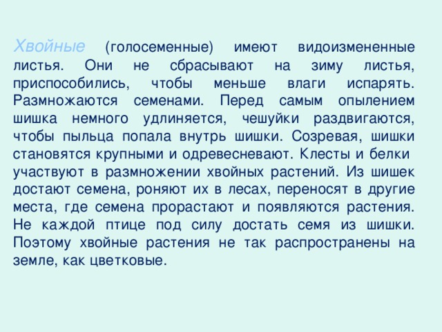 Хвойные  (голосеменные) имеют видоизмененные листья. Они не сбрасывают на зиму листья, приспособились, чтобы меньше влаги испарять. Размножаются семенами. Перед самым опылением шишка немного удлиняется, чешуйки раздвигаются, чтобы пыльца попала внутрь шишки. Созревая, шишки становятся крупными и одревесневают. Клесты и белки участвуют в размножении хвойных растений. Из шишек достают семена, роняют их в лесах, переносят в другие места, где семена прорастают и появляются растения. Не каждой птице под силу достать семя из шишки. Поэтому хвойные растения не так распространены на земле, как цветковые.