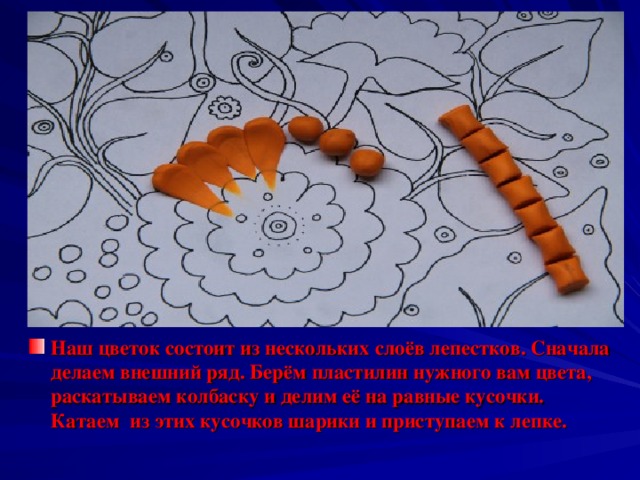 Наш цветок состоит из нескольких слоёв лепестков. Сначала делаем внешний ряд. Берём пластилин нужного вам цвета, раскатываем колбаску и делим её на равные кусочки. Катаем из этих кусочков шарики и приступаем к лепке.