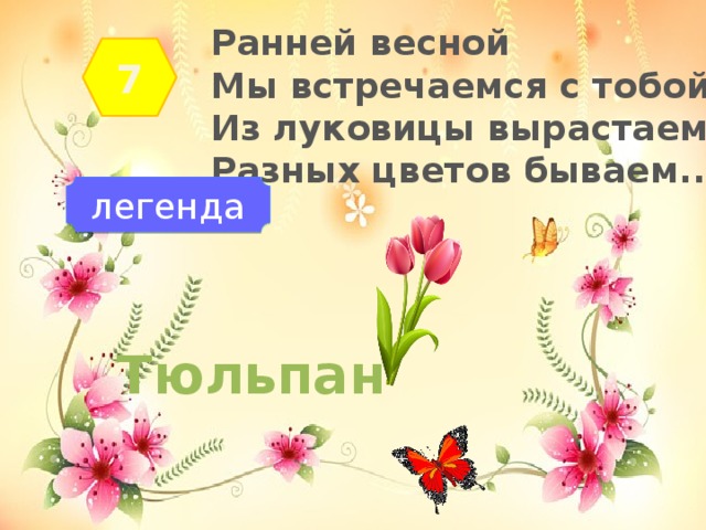 Ранней весной Мы встречаемся с тобой. Из луковицы вырастаем Разных цветов бываем...  7 легенда Тюльпан