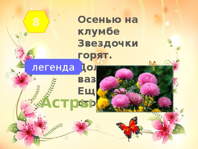 8 Осенью на клумбе Звездочки горят. Долго-долго в вазе Еще потом стоят...    легенда Астры