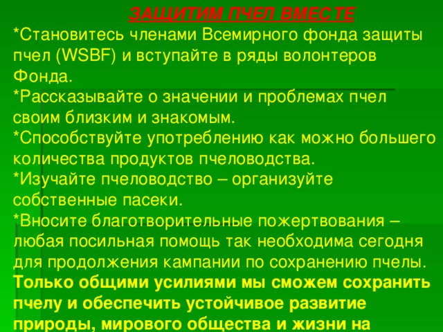 ЗАЩИТИМ ПЧЕЛ ВМЕСТЕ *Становитесь членами Всемирного фонда защиты пчел (WSBF) и вступайте в ряды волонтеров Фонда. *Рассказывайте о значении и проблемах пчел своим близким и знакомым. *Способствуйте употреблению как можно большего количества продуктов пчеловодства. *Изучайте пчеловодство – организуйте собственные пасеки. *Вносите благотворительные пожертвования – любая посильная помощь так необходима сегодня для продолжения кампании по сохранению пчелы. Только общими усилиями мы сможем сохранить пчелу и обеспечить устойчивое развитие природы, мирового общества и жизни на Планете в целом !!!