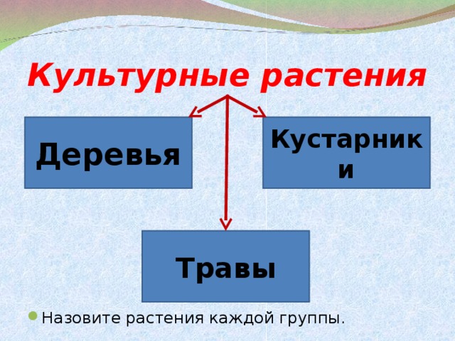 Культурные растения Назовите растения каждой группы. Деревья Кустарники Травы