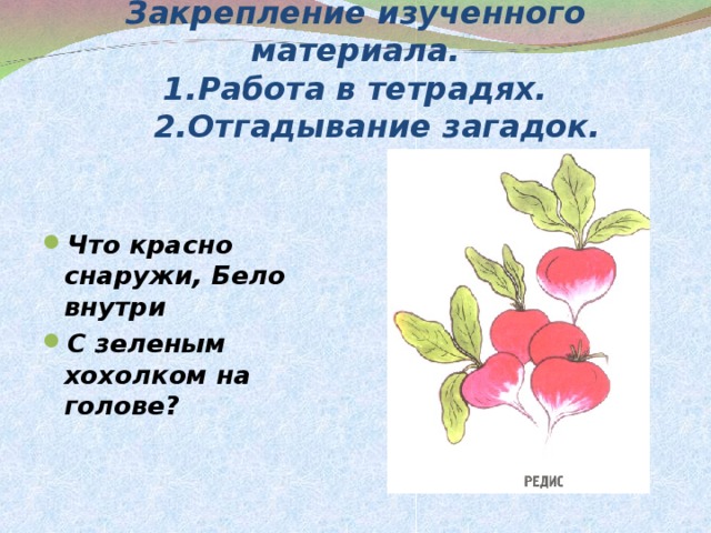 Закрепление изученного материала.  1.Работа в тетрадях.  2.Отгадывание загадок.