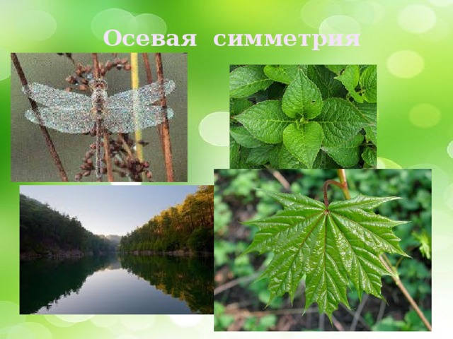 Осевая симметрия