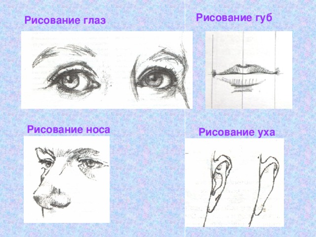 Как нарисовать глаза и губы