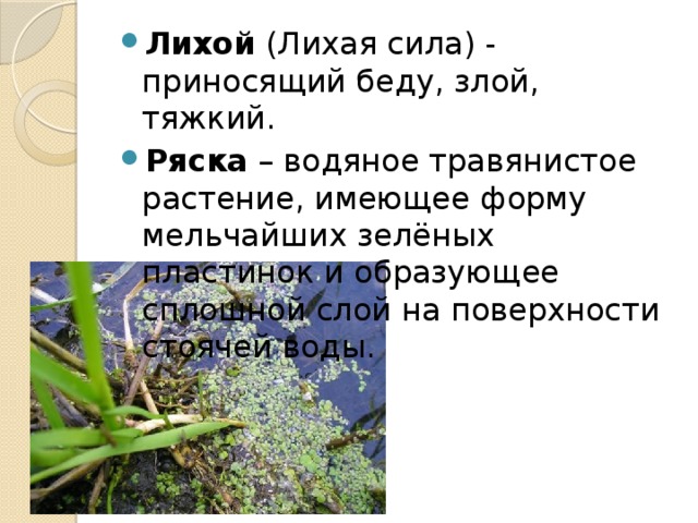 Лихой  (Лихая сила) - приносящий беду, злой, тяжкий. Ряска  – водяное травянистое растение, имеющее форму мельчайших зелёных пластинок и образующее сплошной слой на поверхности стоячей воды.