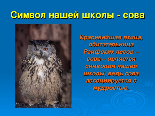 Символ нашей школы - сова Красивейшая птица, обитательница Раифских лесов – сова – является символом нашей школы, ведь сова ассоциируется с мудростью .