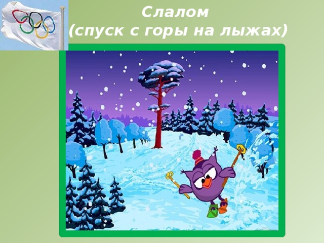 Слалом  (спуск с горы на лыжах)