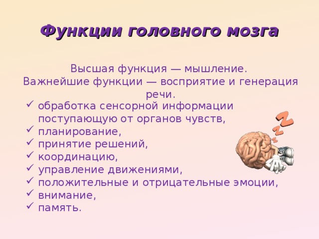 Какие 2 функции выполняет головной мозг. Основные функции головного мозга. Функции основных отделов головного мозга. Первичные функции отделов головного мозга. Функции 5ти основных отделов головного мозга.