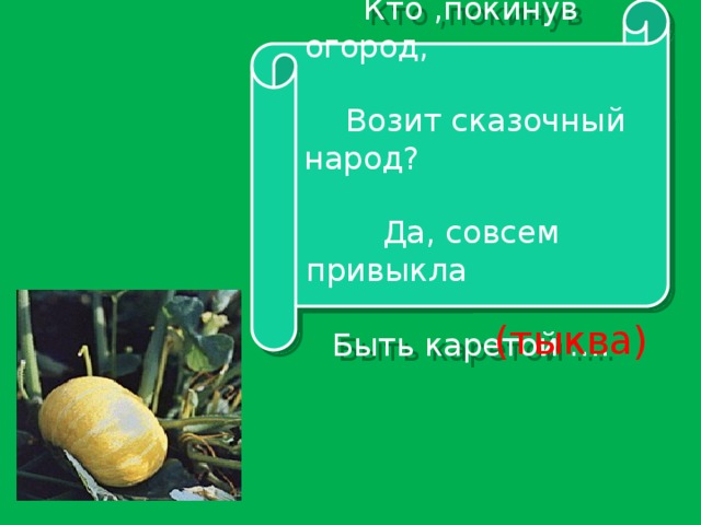 Кто ,покинув огород, Возит сказочный народ? Да, совсем привыкла Быть каретой …. (тыква)