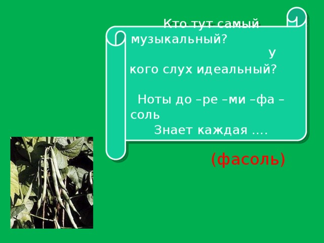 Кто тут самый музыкальный? У кого слух идеальный? Ноты до –ре –ми –фа –соль Знает каждая …. (фасоль)