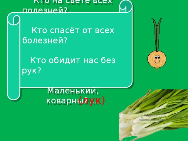 Кто на свете всех полезней? Кто спасёт от всех болезней? Кто обидит нас без рук? Маленький, коварный… (лук)