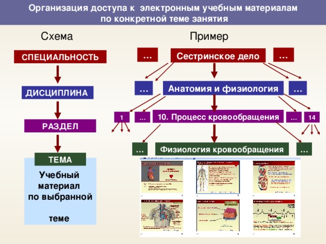 Организация доступа к электронным учебным материалам  по конкретной теме занятия Схема Пример … … Сестринское дело СПЕЦИАЛЬНОСТЬ … Анатомия и физиология … ДИСЦИПЛИНА 10. Процесс кровообращения … … 14 1 РАЗДЕЛ … … Физиология кровообращения ТЕМА Учебный  материал  по выбранной  теме 15