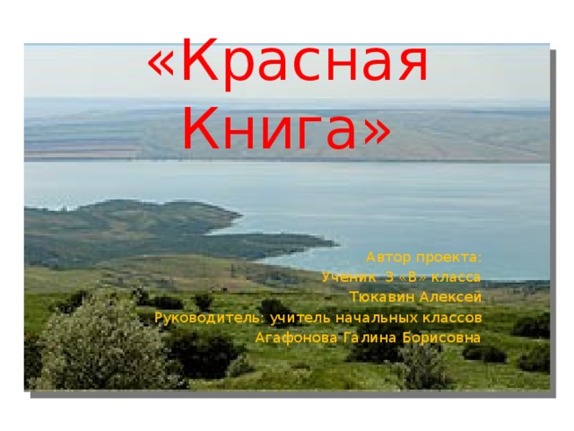 «Красная Книга» Автор проекта: Ученик 3 «В» класса Тюкавин Алексей Руководитель: учитель начальных классов Агафонова Галина Борисовна