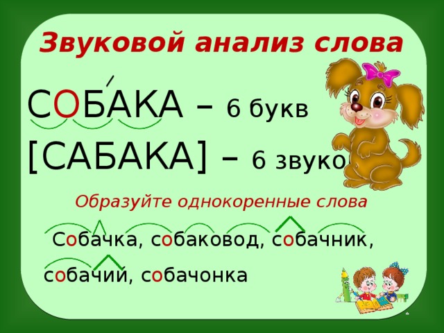 Звуковой анализ слова С О БАКА – 6 букв [САБАКА] – 6 звуков Образуйте однокоренные слова  С о бачка, с о баковод, с о бачник, с о бачий, с о бачонка