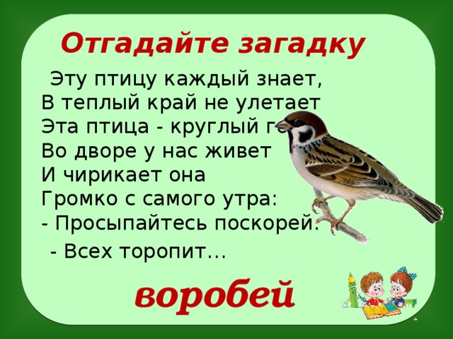 Найди или придумай загадку о воробье запиши и нарисуй