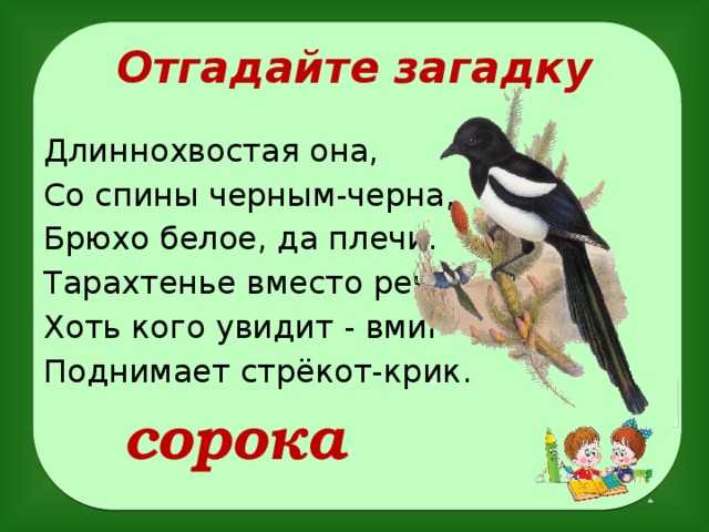 Отгадайте загадку Длиннохвостая она, Со спины черным-черна, Брюхо белое, да плечи. Тарахтенье вместо речи, Хоть кого увидит - вмиг Поднимает стрёкот-крик .  сорока