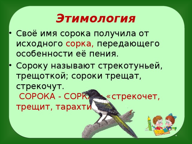 Сороки трещат или пищат. Этимология слова сорока. Происхождение слова сорока. Этимология слова сорока птица. Описание сороки.