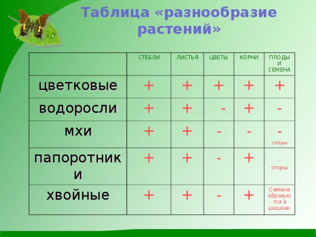 Группы растений заполнить таблицу