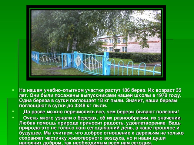 На нашем учебно-опытном участке растут 186 берез. Их возраст 35 лет. Они были посажены выпускниками нашей школы в 1978 году. Одна береза в сутки поглощает 18 кг пыли. Значит, наши березы поглощают в сутки до 3348 кг пыли.  Да разве можно перечислить все, чем березы бывают полезны!  Очень много узнали о березах, об их разнообразии, их значении. Любая помощь природе приносит радость, удовлетворение. Ведь природа-это не только наш сегодняшний день, а наше прошлое и будущее. Мы считаем, что доброе отношение к деревьям не только сохраняет частичку животворного воздуха, но и наши души наполнит добром, так необходимым всем нам сегодня.