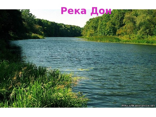 Река Дон