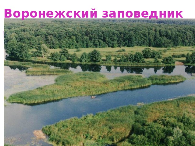 Воронежский заповедник