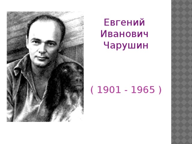 Евгений Иванович Чарушин ( 1901 - 1965 )