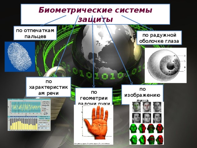 Биометрические системы защиты по отпечаткам пальцев по радужной оболочке глаза по характеристикам речи по изображению лица по геометрии ладони руки