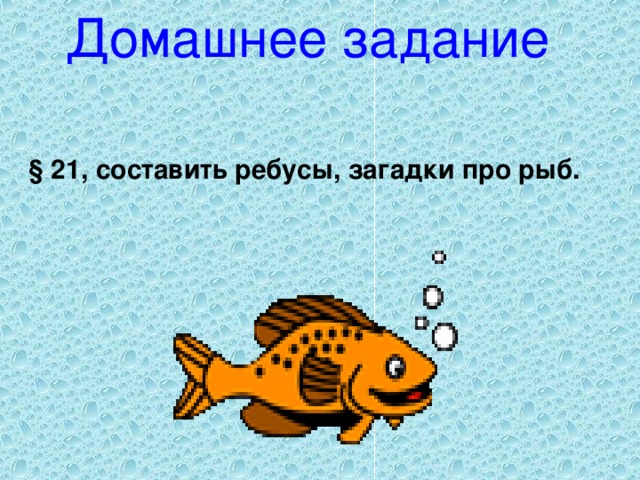 Домашнее задание  § 21, составить ребусы, загадки про рыб.