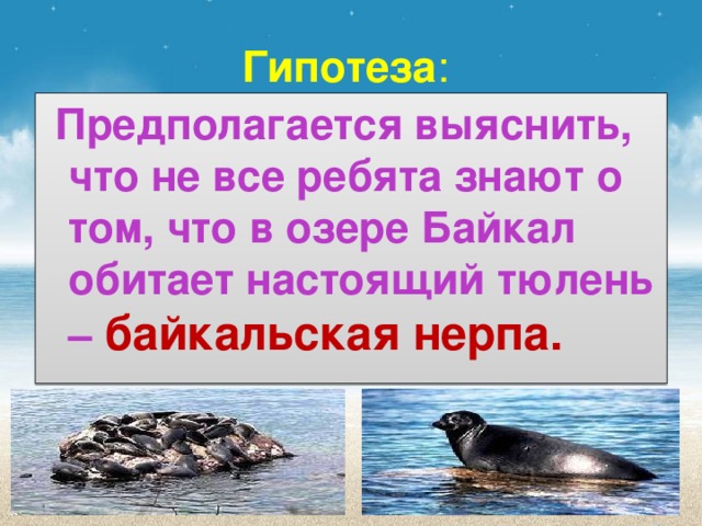 Гипотеза :  Предполагается выяснить, что не все ребята знают о том, что в озере Байкал обитает настоящий тюлень – байкальская нерпа.