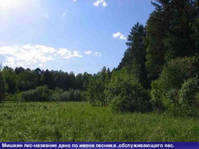 Ставок ,Бабий(Старый)-самый ближний пруд,здесь была чистая вода.  Его любят посещать взрослые и дети.