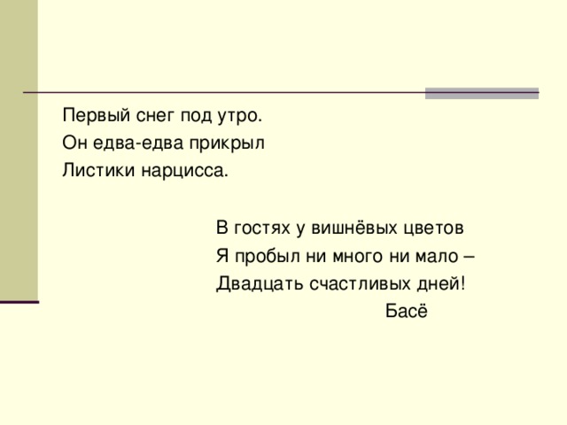 Первый снег под утро. Он едва-едва прикрыл Листики нарцисса. В гостях у вишнёвых цветов  Я пробыл ни много ни мало –  Двадцать счастливых дней!  Басё